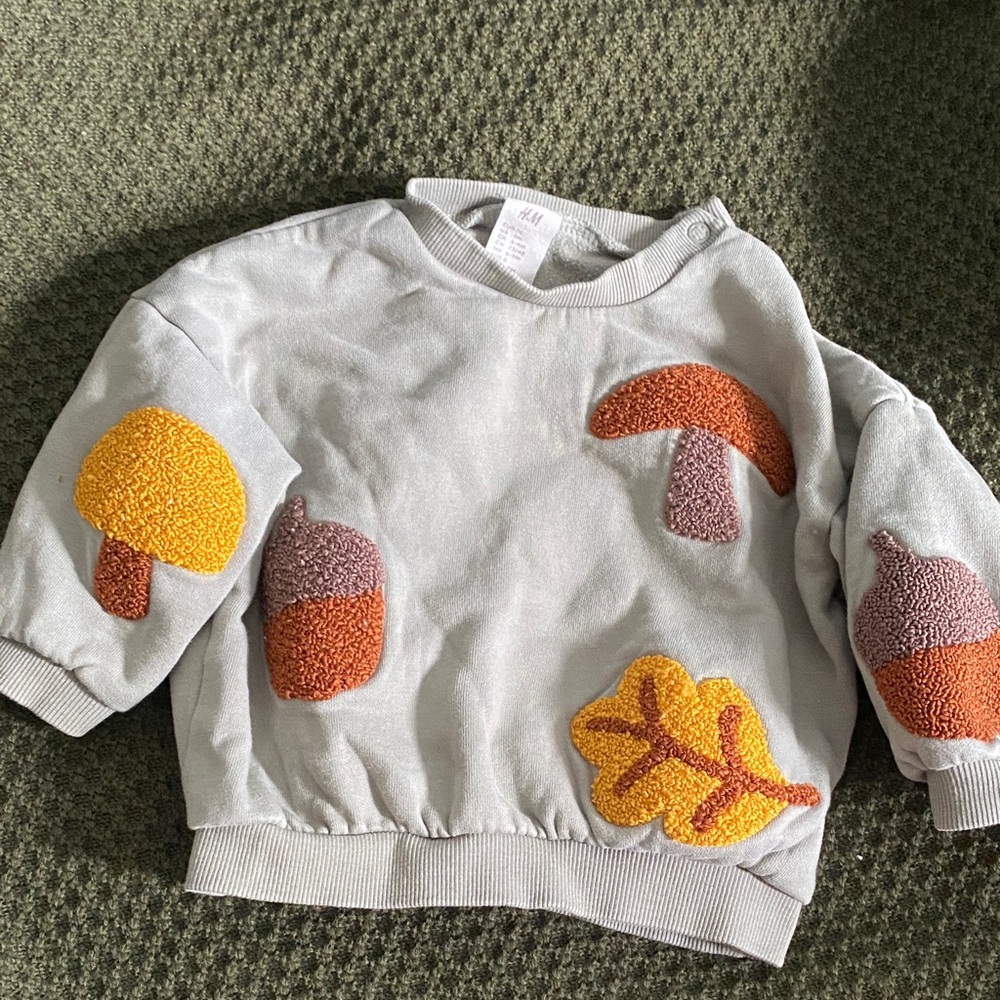 H&M Gray Kids Sweatshirt with Colorful Nature Motifs